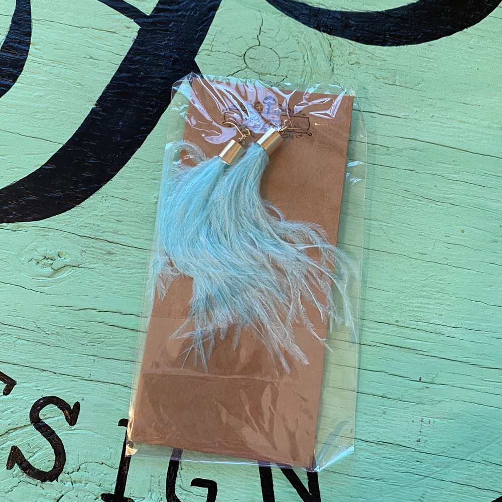 Blue feather earrings